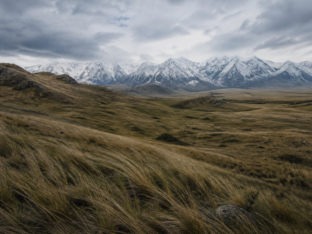 Upland Plains